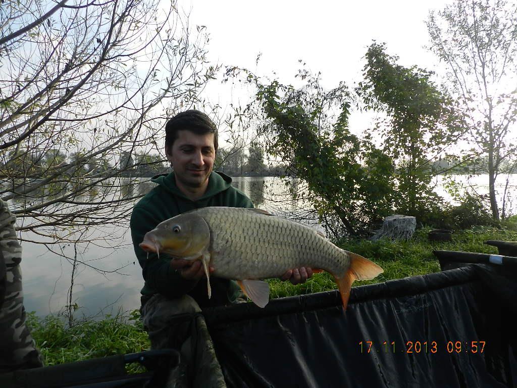 15 noiembrie 2013 - dscn1818.JPG